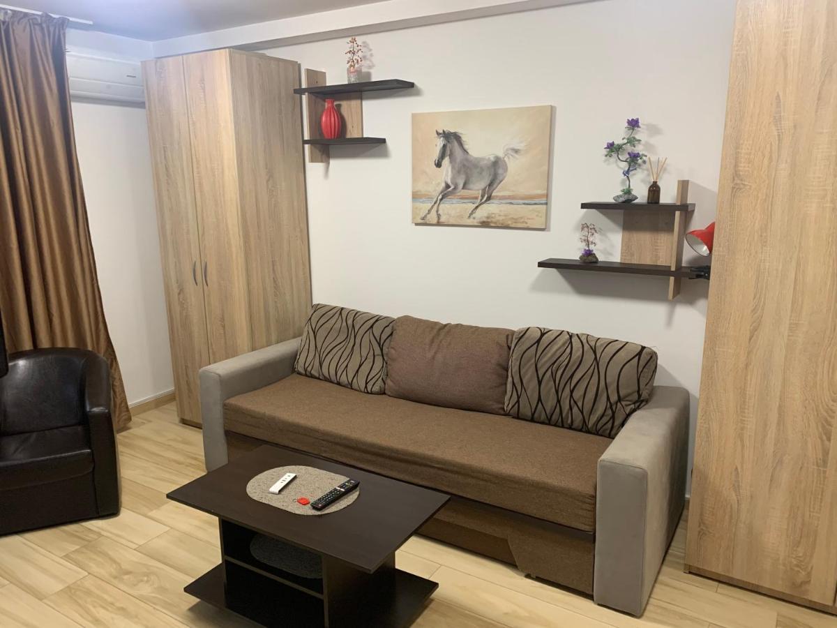 Studio Militari Residence Mr_1 Roşu Zewnętrze zdjęcie