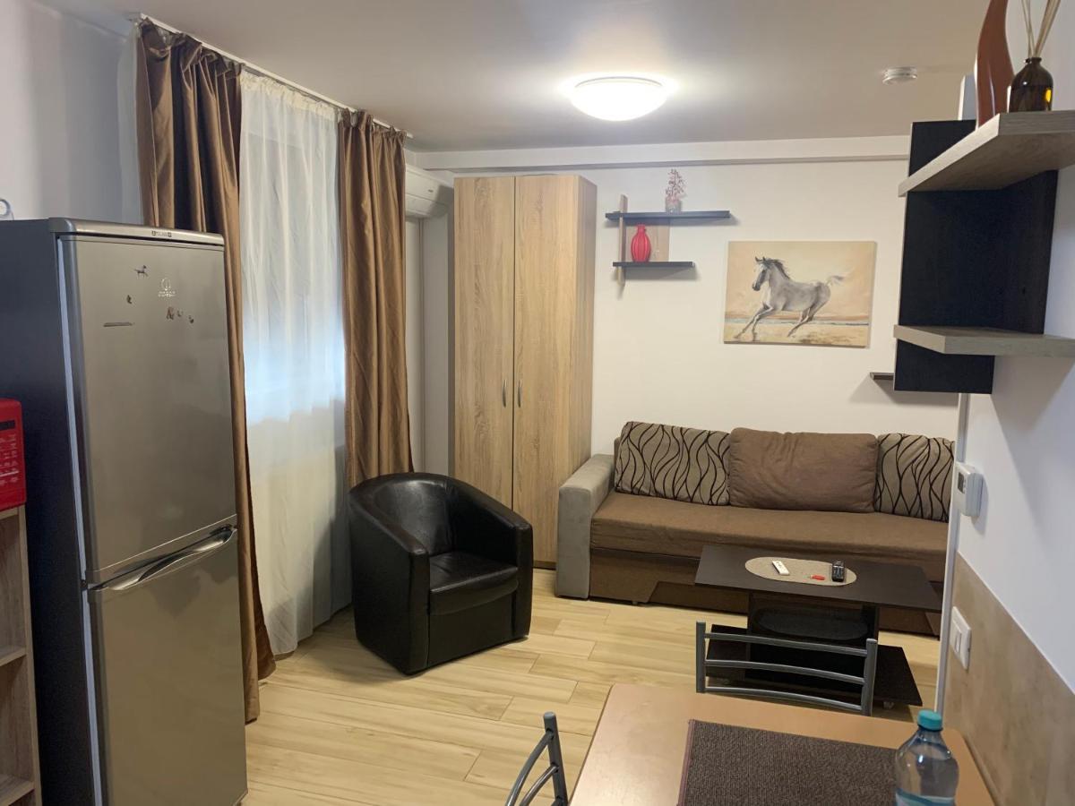 Studio Militari Residence Mr_1 Roşu Zewnętrze zdjęcie