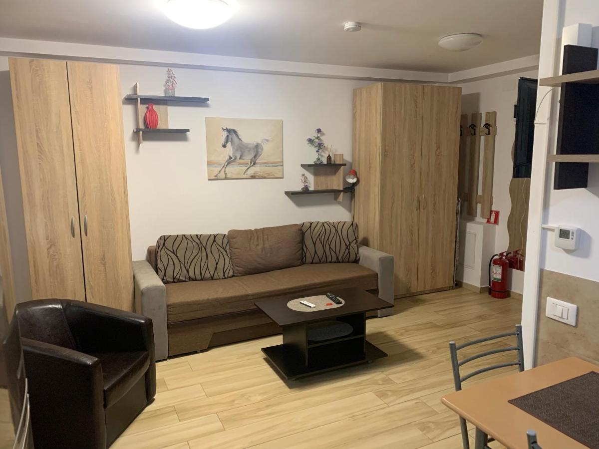 Studio Militari Residence Mr_1 Roşu Zewnętrze zdjęcie