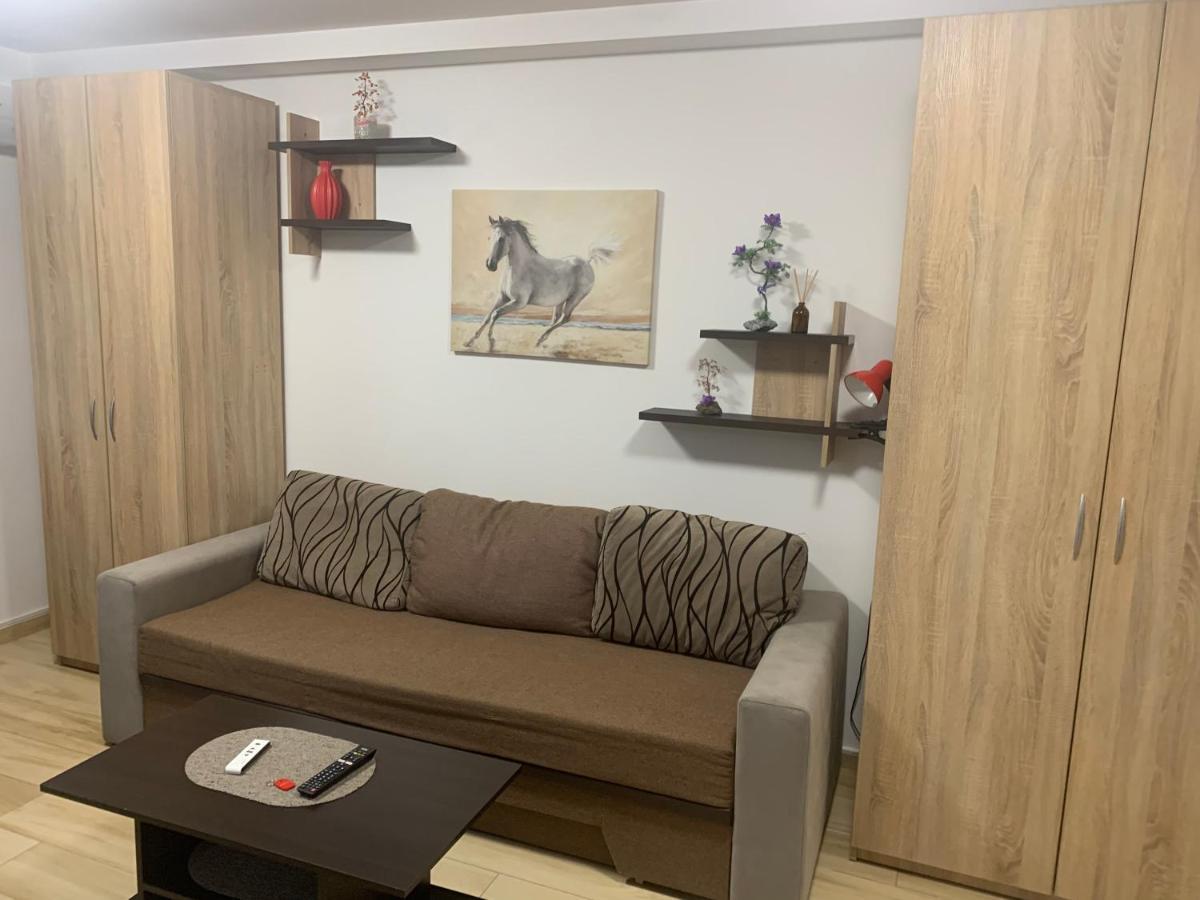 Studio Militari Residence Mr_1 Roşu Zewnętrze zdjęcie