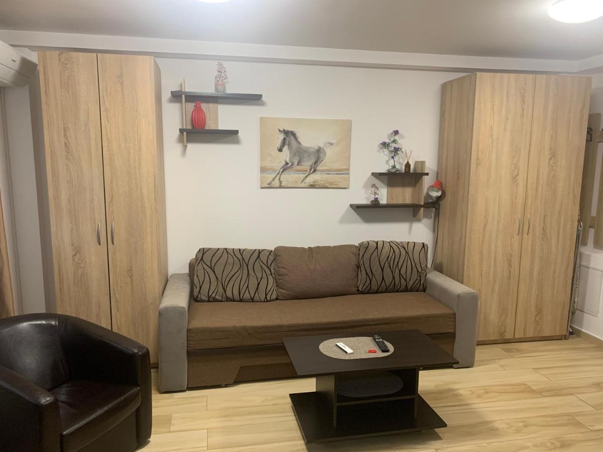 Studio Militari Residence Mr_1 Roşu Zewnętrze zdjęcie